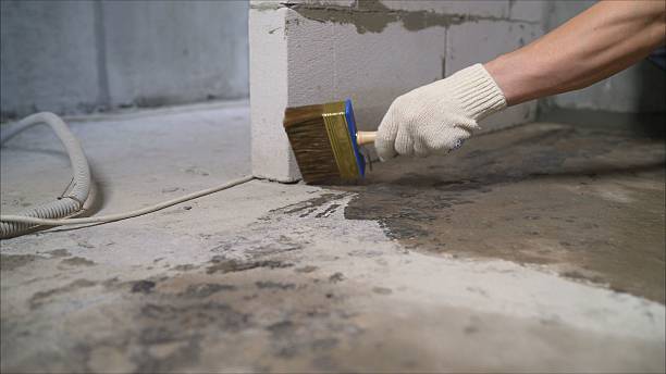 SJ Waterproofing Pros Emergency Waterproofing coverage map for Muir, MI and surrounding area